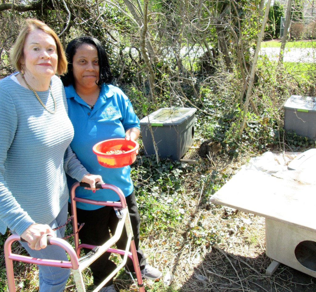 Pictured left to right are Londonderry on the Tred Avon resident Sheila Wheeler with Londonderry employee Gail Graham. The two women have been committed to caring for a feral cat population on Port Street in Easton.