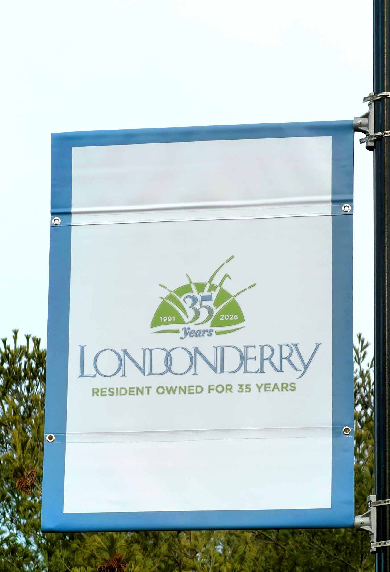 30 years lightpost banners